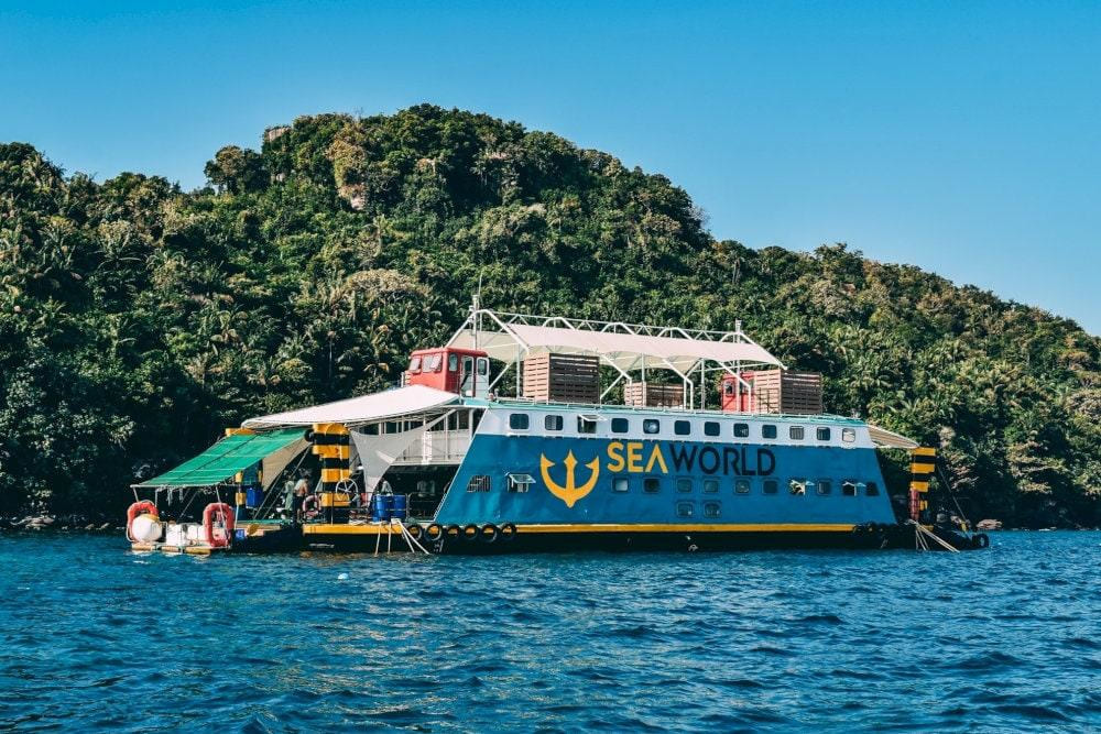 A scenic boat trip to Coral Park marks the beginning of the standard sea walking journey (Source: Viet Nam Authority of Tourism)